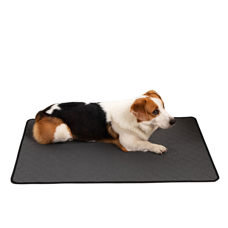 Reusable Washable Dog Potty Pad — Waterproof Backing