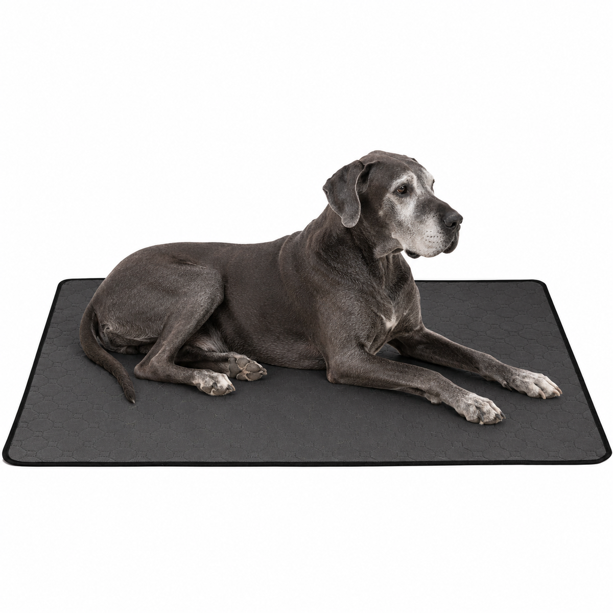 Reusable Washable Dog Potty Pad - Waterproof Backing