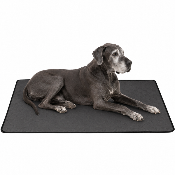 Reusable Washable Dog Potty Pad - Waterproof Backing